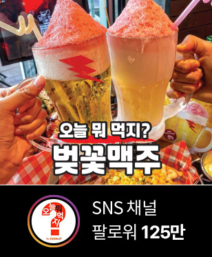 SNS채널 팔로워 125만